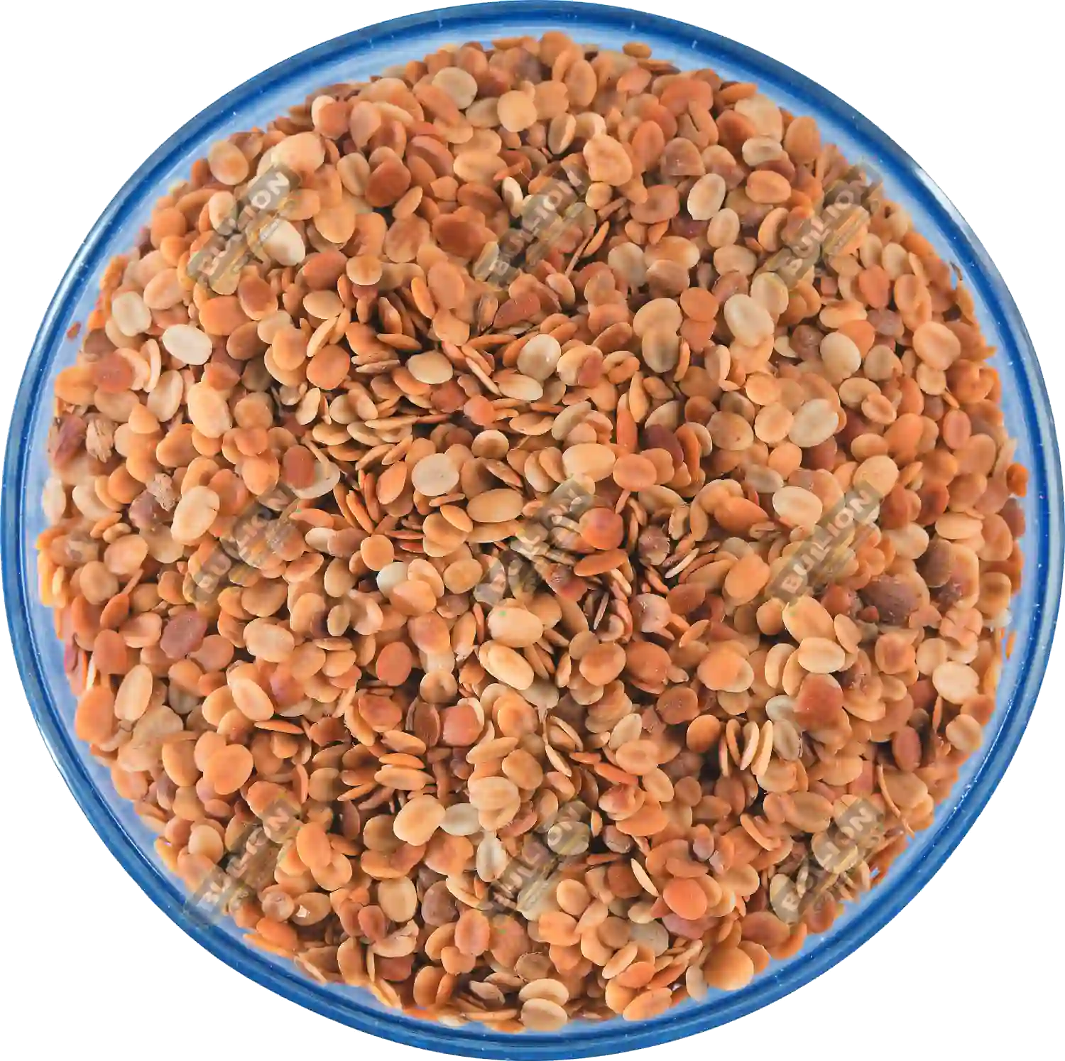 Dhana dal