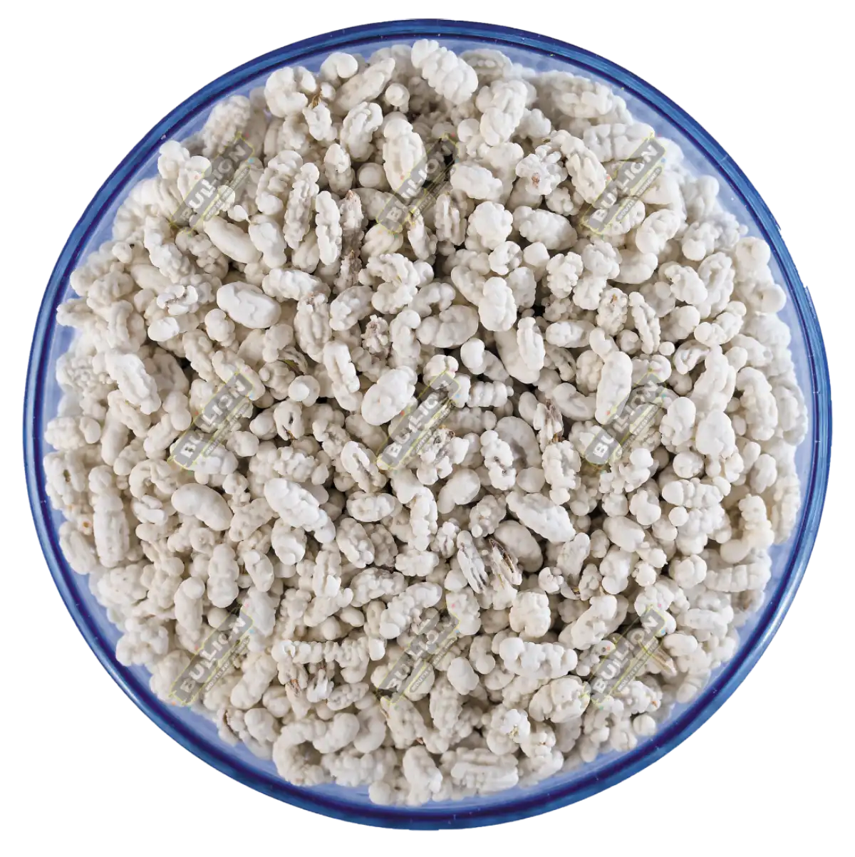 Bullion Madrasi Sonff (White)